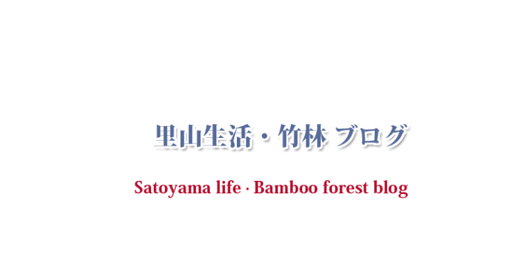 里山生活・竹林 ブログ