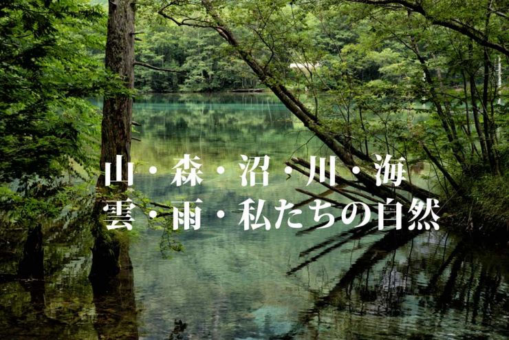 山口県の森林を守る　山口県の森林を守る 三輝トラスト株式会社