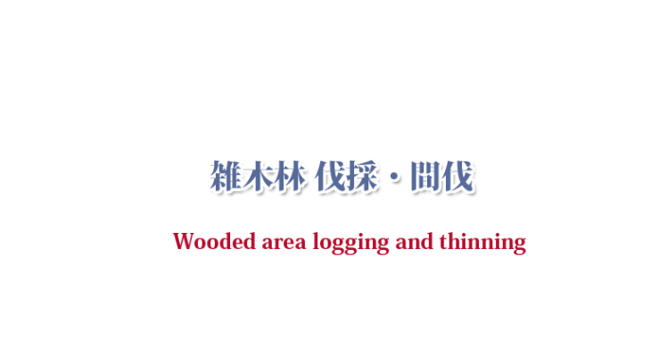 山口県の雑木林 間伐・放棄山林 間伐の三輝トラスト